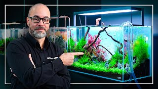 A Perfect Tutorial to Start Your FIRST Planted Aquarium [upl. by Waine]