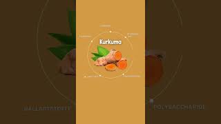 Bio Kurkuma [upl. by Llenet]