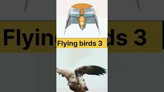 flying birds design 3 engineering mechanismsdesign 3danimation 3dtechnology [upl. by Aihselat]