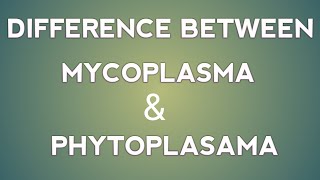 Difference between mycoplasma and phytoplasma in hindiPPLOMLOICARJET12TH RBSEPlant Science [upl. by Nevi]