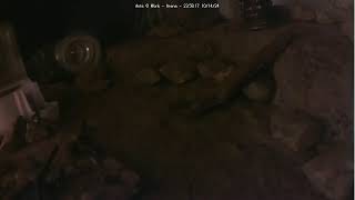 🔴 Ants at Work  Arena  Day 1452 Messor Barbarus Ants Live Webcam Ant Farm in Hamburg Germany [upl. by Darren]