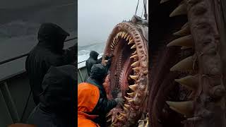 You Wont Believe What We Found in the Deep Ocean monster animals ai shorts shortvideo [upl. by Airakaz]