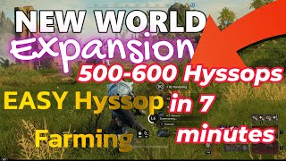 New World Hyssops Farm 2023 [upl. by Hajidak371]