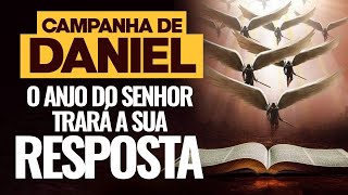 ORAÇÃO FORTÍSSIMA CAMPANHA DE DANIEL [upl. by Ylle752]