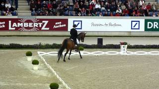 CDI Aachen 2013 Inter I  Andreas Helgstrand  Polka Hit Nexen [upl. by Shippee]