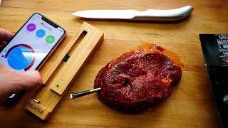 Perfekte Steak Fisch oder andere Ofengerich mit smarten Thermometer Meater  Ausführlicher Test [upl. by Forrester]