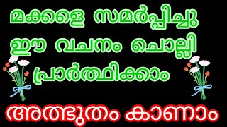 മക്കളെ സമർപ്പിച്ചു പ്രാർത്ഥിക്കാം [upl. by Stulin196]