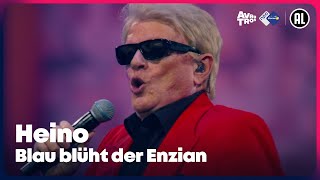 Heino  Blau blüht der Enzian • Festival der Liebe  Sterren NL [upl. by Anina499]