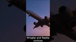 Wingtip and Flaptip Vortices  Aircraft Aerodynamics [upl. by Hawkie]