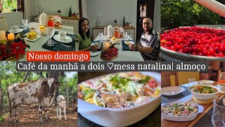 Nosso domingo a dois💑 preparei café da manhã e almoço delicioso  colheita de acerola e mais [upl. by Siblee]