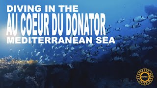 Plongée épave  Au cœur du Donator septembre 2024 diveExplo360 [upl. by Trey]