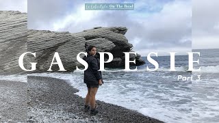 VLOG Road Trip from Montreal to Gaspé Peninsula  Part 3 [upl. by Annayt]