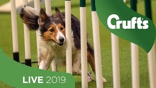 Crufts 2019 Day 1  Part 1 LIVE [upl. by Nnylannej]