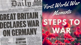 The STEPS to WW1 Check out how the Alliance System Declarations PLAYED out in 1914 [upl. by Arriek]