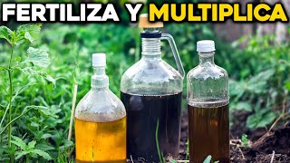 Crea tus propios Fertilizantes Líquidos caseros en minutos [upl. by Eecart349]