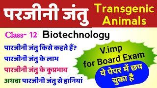 परजीनी जंतु क्या है इसके लाभ और हानियां  parjivi jantu kya hai  transgenic animals  12th Biology [upl. by Sheepshanks204]