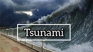 Tsunami For Kids  Tsunami Caught On Camera Biggest  Interesting Facts About Tsunamis [upl. by Tenenbaum]