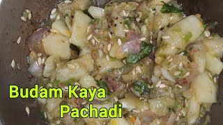 BudamKayaదోసకాయ Pachadi Recipe food pachadi indianfood videos [upl. by Anemolif542]