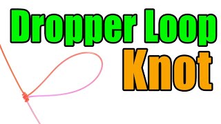 Dropper Loop Knot  Step By Step Tying Instructions  Fly Fishing Knots [upl. by Walrath645]