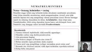 PHYLUM NEMATHELMINTHES [upl. by Ariahaj]