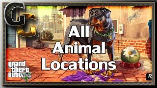 GTA V PC  Unlock All Animals Peyote Plant Locations [upl. by Eliga]