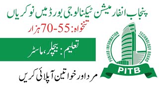 Punjab Information Technology Board PITB Jobs 2024  How To Apply For PITB Jobs 2024 [upl. by Eirual220]