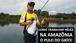 COMO TRABALHAR ISCA DE HÉLICE NA AMAZÔNIA [upl. by Michaeline724]