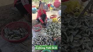 Cutting fish skill fishing fish shorts reels viralvideo [upl. by Vladamar]