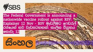 The Federal Government is announcing a nationwide vaccine rollout against RSV Explainer 12 Nov [upl. by Corder]