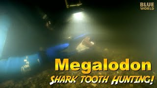 Megalodon Shark Tooth Diving Dark and scary [upl. by Atneciv]