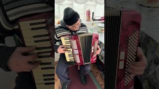 Arlando accordion 34 accordion 80 Bass 34 keys 2 voices 22 registers Germany accordion SALE [upl. by Madda]