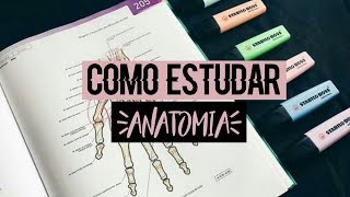 Como estudar anatomia  StudyCamila [upl. by Meter94]