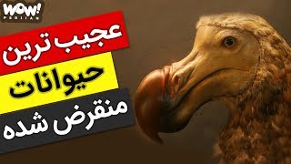 برترین ها  10 تا از برترین و جالبترین حیوانات منقرض شده تاریخ [upl. by Lakim385]