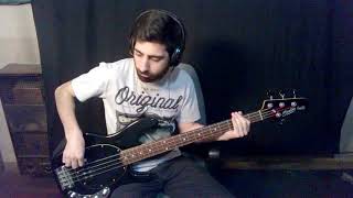 Alanis Morissette  You Oughta Know  Bass cover [upl. by Rebmaed]