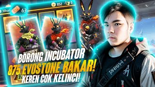 INCUBATOR 3 IN 1 RABBIT BUNDLE BORONG SEMUA 875 Evo Stone [upl. by Ehcropal]