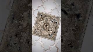 Crazy Shower Drain Clog Watch This Satisfying CleanUp [upl. by Abas463]