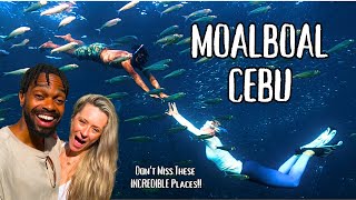 Moalboal Cebu Philippines  INSANE Sardine Run Turquoise Waterfalls amp The Best Cebu Beaches [upl. by Aztiley280]