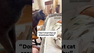 I never thought my cat would do this to my baby 🥹 catlover catmom cats [upl. by Neoma]