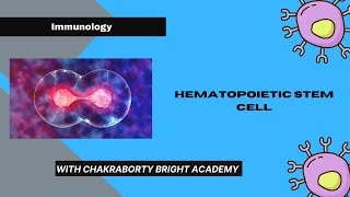 Hematopoietic Stem Cell [upl. by Fabrienne]