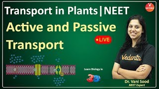 Active and Passive Transport  Transport In Plants Class 11 Biology  NEET 2022  Vedantu VBiotonic [upl. by Zap]