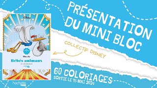 Bébés animaux  Mini bloc Disney  Hachette Heroes [upl. by Mohn]