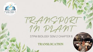 STPM BIOLOGY SEM 2 CHAPTER 82 TRANSPORT IN PLANT  PART 8 LAST TRANSLOCATION halobudyleezhixuan [upl. by Carree195]