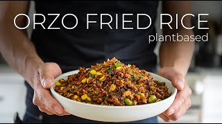 The Orzo Fried Rice FUSION Recipe nobody asked for [upl. by Ahseikal475]