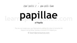 Pronunciation of Papillae  Definition of Papillae [upl. by Aikemehs]