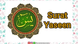 Surah Yaseen يس‎ سورة  Quran Surah  Dawoodi Bohra  Mumeneen Akhbar [upl. by Jezabelle]