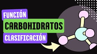 Carbohidratos FUNCIÓN y CLASIFICACIÓN 🔬 [upl. by Sussman820]