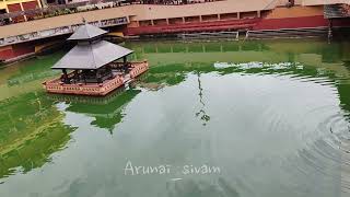 Udupi Sri Krishna Temple [upl. by Eniagrom]