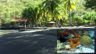 Martinique Anse noire  Les paradis terrestre et marin existent jen reviens et jy retournerai [upl. by Akaya]