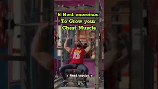 5 best exercises for chest [upl. by Amargo]