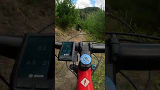 I cant keep Dammit Janet Rotorua NZ mtb mtblife [upl. by Ecertal]